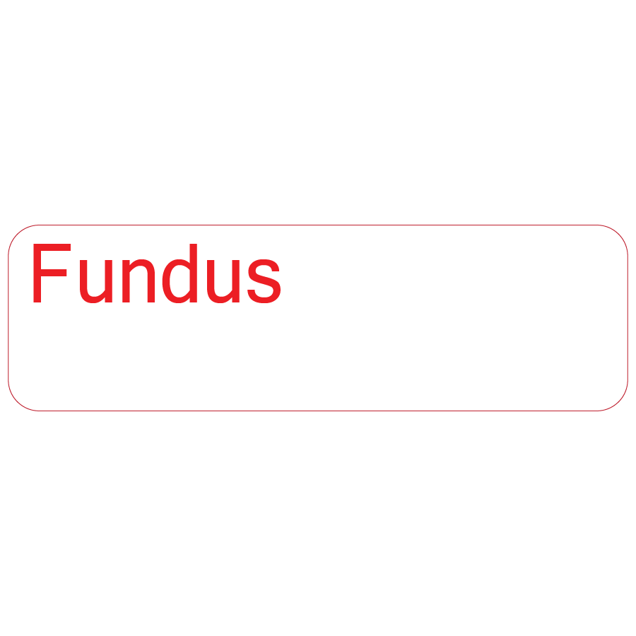 Fundus, 40 x 12, PAPER, Red print on White Label, 800 per roll