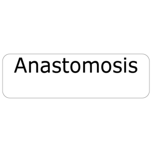 Anastomosis - 40 x 12, PAPER, Black print on White Label, 800 per roll