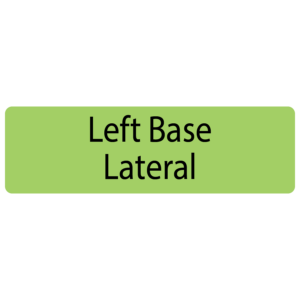 Left Base Lateral,  40 x 12, PAPER, Black print on Green Label, 800 per roll