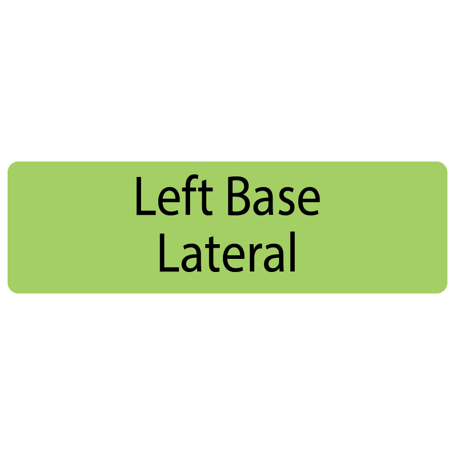 Left Base Lateral, 40 x 12, PAPER, Black print on Green Label, 800 per roll