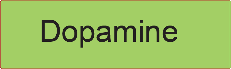 Dopamine- 40 x 12, PAPER, Black print on Green label , 800 per roll