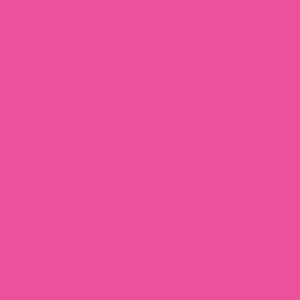 Blank Polytag ( with A Star) - 110 x 50, Black print on Pink Polytag, 100 per pack with ties