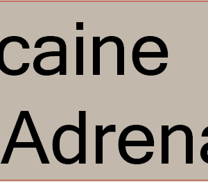 Xylocaine 2% with Adrenaline - 40 x 12, PAPER, Black print on Grey Label, 800 per roll