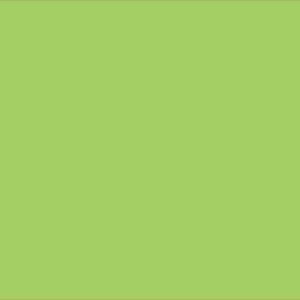 Blank Polytag ( with A Star) - 110 x 50, Black print on Green Polytag, 100 per pack with ties