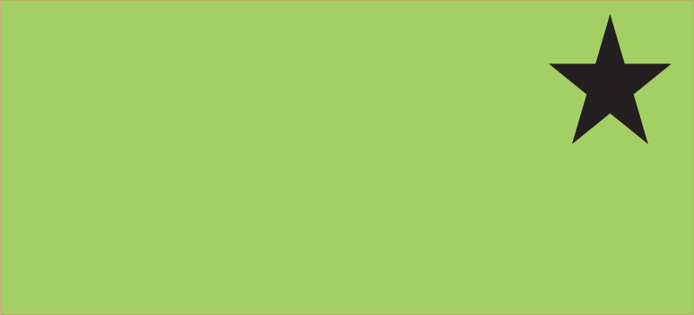 Blank Polytag ( with A Star) - 110 x 50, Black print on Green Polytag, 100 per pack with ties