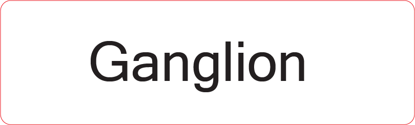 Ganglion- 40 x 12, PAPER, Black print on White Label, 800 per roll