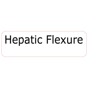 Hepatic Flexure - 40 x 12, PAPER, Black print on White Label, 800 per roll