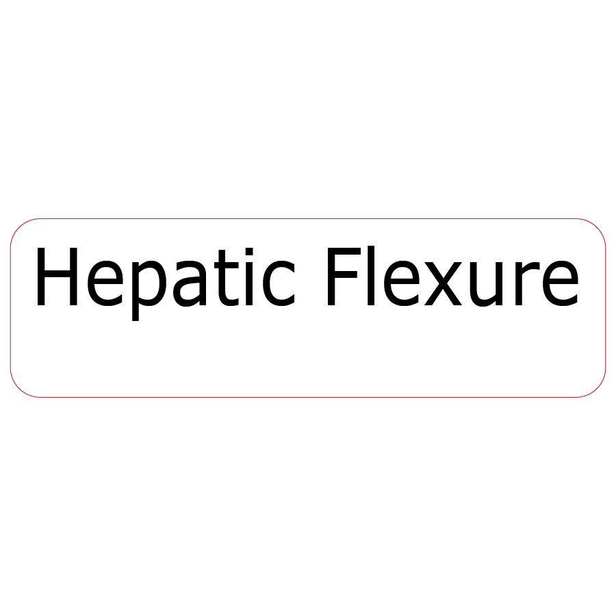 Hepatic Flexure - 40 x 12, PAPER, Black print on White Label, 800 per roll