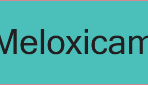 Meloxicam- 40 x 12, PAPER, Black print on Teal Label, 800 per roll