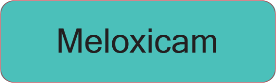 Meloxicam- 40 x 12, PAPER, Black print on Teal Label, 800 per roll
