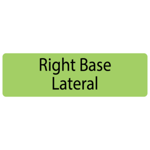 Right Base Lateral , 40 x 12, PAPER, Black print on Green Label, 800 per roll