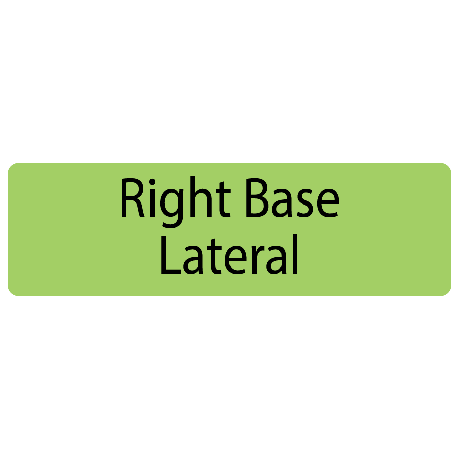 Right Base Lateral , 40 x 12, PAPER, Black print on Green Label, 800 per roll