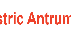Gastric Antrum Bx - 40 x 12, PAPER, RED print on White Label, 800 per roll