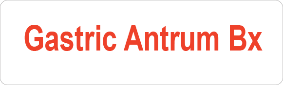 Gastric Antrum Bx - 40 x 12, PAPER, RED print on White Label, 800 per roll