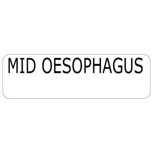 Mid Oesophagus - 40 x 12, PAPER, Black print on White Label, 800 per roll