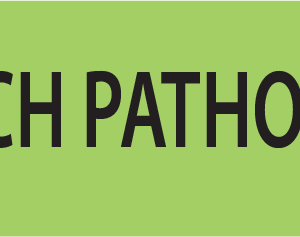 SPEECH PATHOLOGY 40 x 12, PAPER, Black print on Green Label, 800 per roll