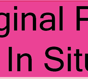 Vaginal Pack In Situ- 40 x 12 , PAPER, Black print on Fluoro Pink Label, 800 per roll