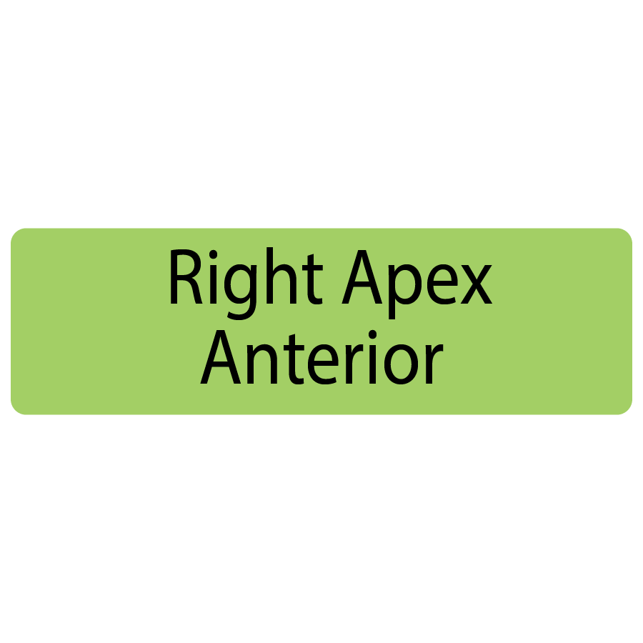 Right Apex Anterior, 40 x 12, PAPER, Black print on Green Label, 800 per roll