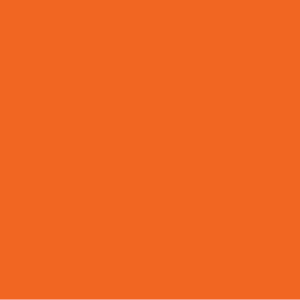 Blank Polytag ( with A Star) - 110 x 50, Black print on Orange Polytag, 100 per pack with ties