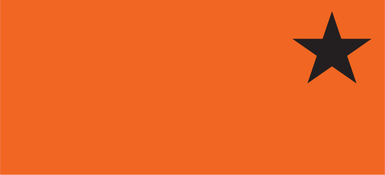 Blank Polytag ( with A Star) - 110 x 50, Black print on Orange Polytag, 100 per pack with ties