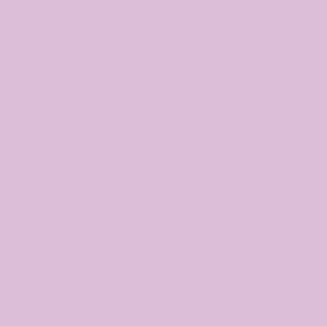 Blank Polytag ( with A Star) - 110 x 50, Black print on Violet Polytag, 100 per pack with ties