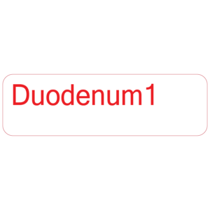 Duodenum 1 - 40 x 12, PAPER, Red print on White Label. 800 per roll