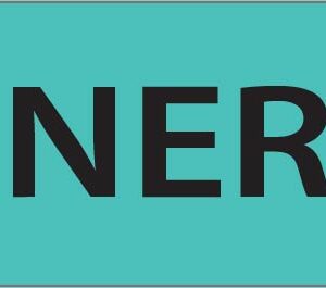 GENERAL - 40 x 12, PAPER, Black print on Teal label , 800 per roll