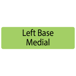 Left Base Medial,  40 x 12, PAPER, Black print on Green Label, 800 per roll