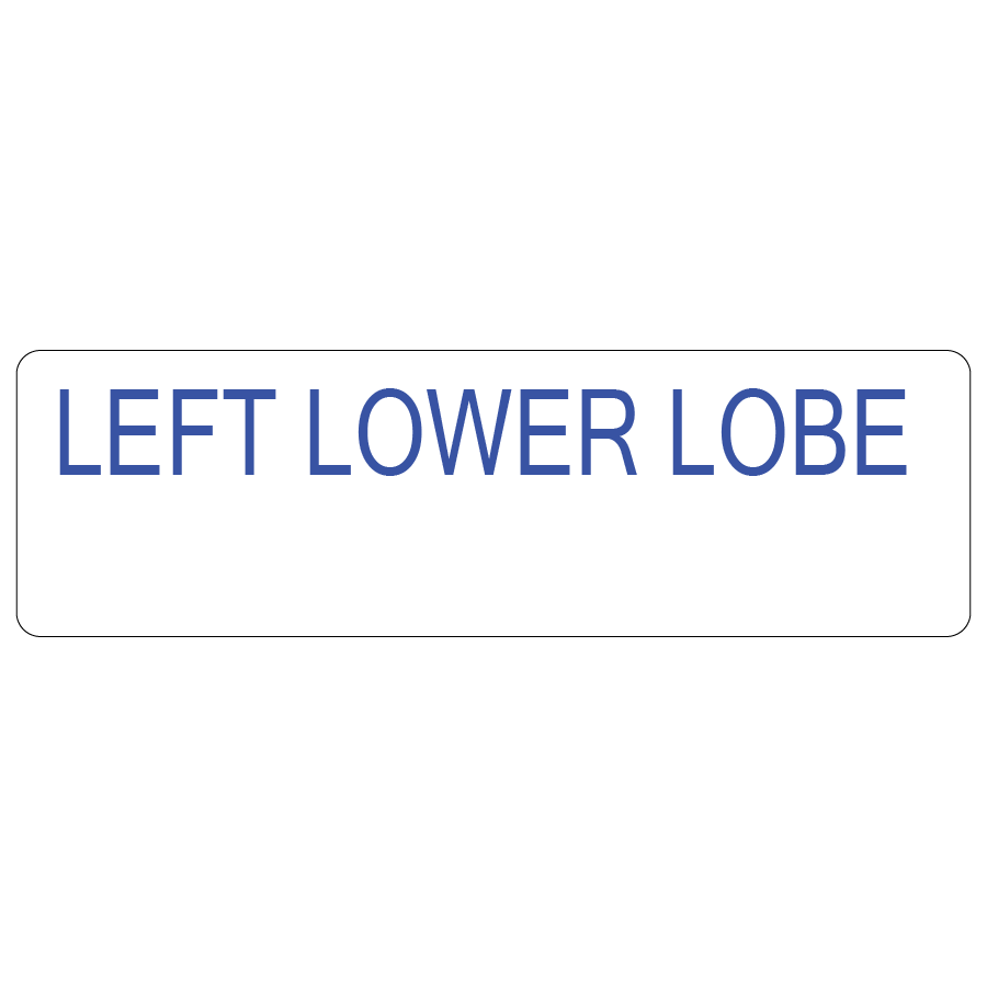 LEFT LOWER LOBE, 40 x 12, PAPER, Blue print on White Label, 800 per roll