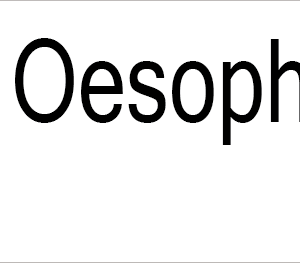Distal Oesophagus Bx- 40 x 12, PAPER, Black print on White Label, 800 per roll