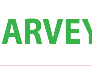 HARVEY - GREEN PRINT ON WHITE, 70 X 20MM, 1000/ROLL