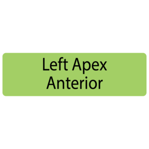 Left Apex Anterior, 40 x 12, PAPER, Black print on Green Label, 800 per roll