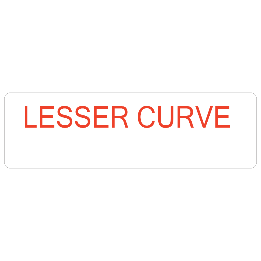 LESSER CURVE - 40 x 12, PAPER, Red print on White Label. 800 per roll