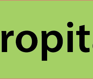 Maropitant- 40 x 12, PAPER, Black print on GREEN Label, 800 per roll