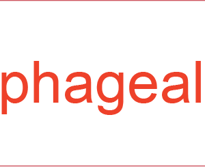 Oesophageal ESD - 40 x 12, PAPER, Red print on White Label, 800 per roll