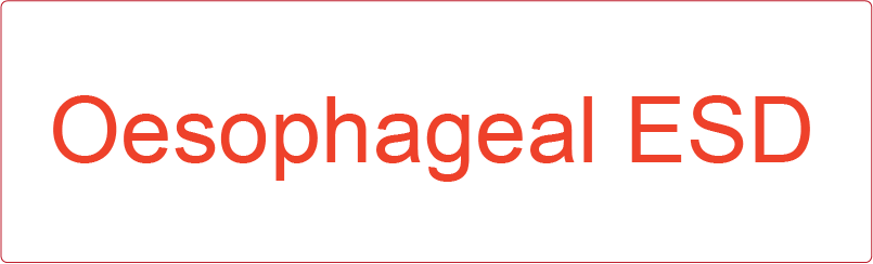 Oesophageal ESD - 40 x 12, PAPER, Red print on White Label, 800 per roll