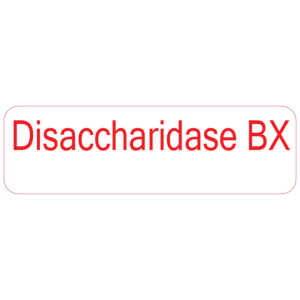 Disaccharidase BX - 40 x 12, PAPER, Red print on White Label. 800 per roll