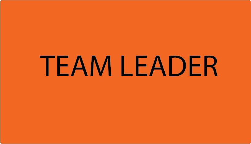 TEAM LEADER - 70 x 40mm, PAPER, Black Print on Fluoro Orange - 500 per roll