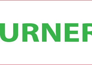 TURNER - GREEN PRINT ON WHITE, 70 X 20MM, 1000/ROLL