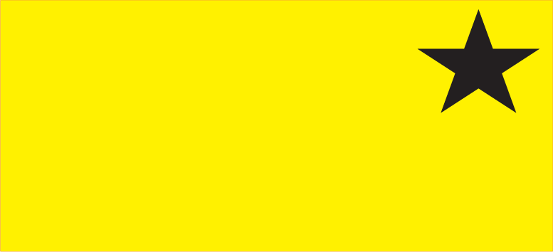 Blank Polytag ( with A Star) - 110 x 50, Black print on Yellow Polytag, 100 per pack with ties