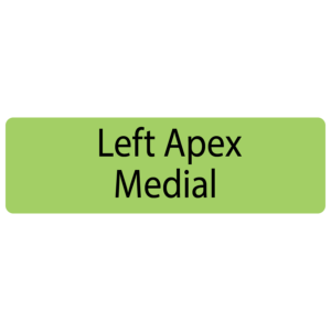 Left Apex Medial,  40 x 12, PAPER, Black print on Green Label, 800 per roll