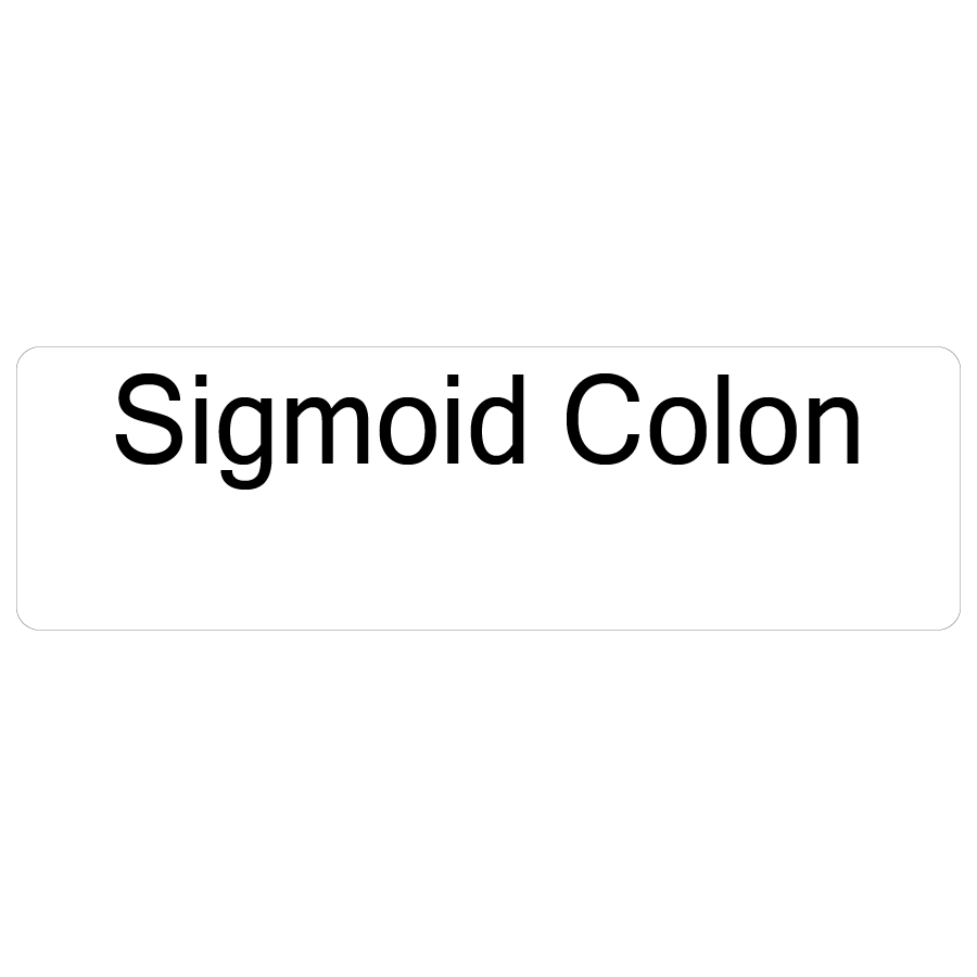 Sigmoid Colon - 40 x 12, PAPER, Black print on White Label. 800 per roll