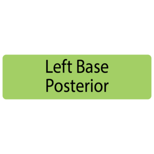 Left Base Posterior, 40 x 12, PAPER, Black print on Green Label, 800 per roll
