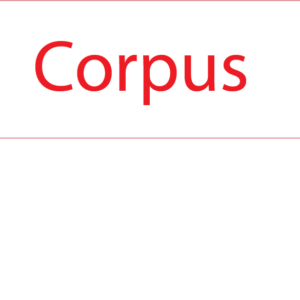 Corpus - 40 x 12, PAPER, Red print on White Label, 800 per roll