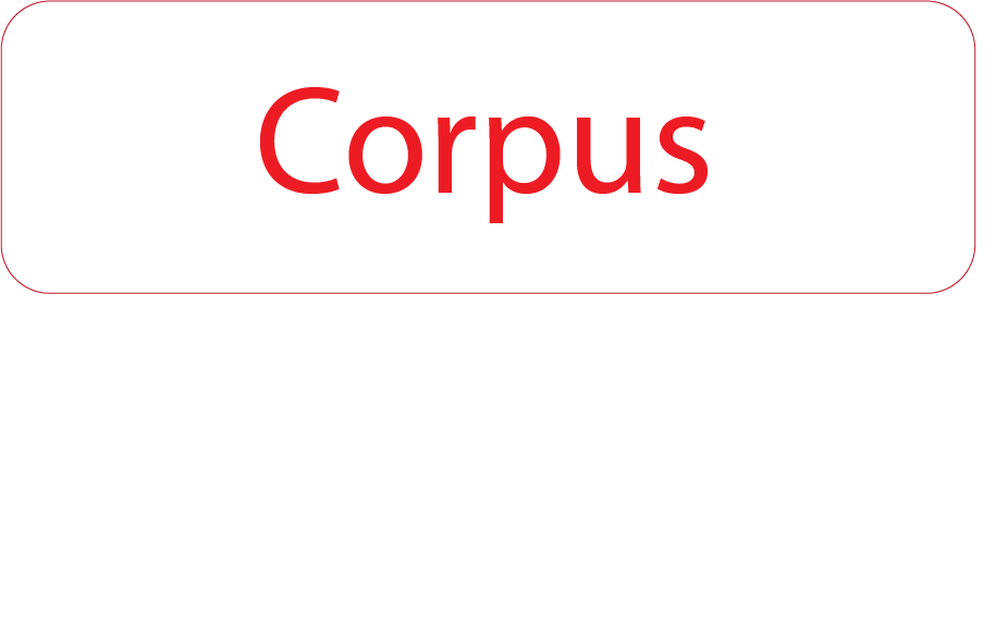 Corpus - 40 x 12, PAPER, Red print on White Label, 800 per roll