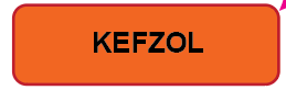 KEFZOL- 40 x 12, PAPER, Black print on Orange Label, 800 per roll