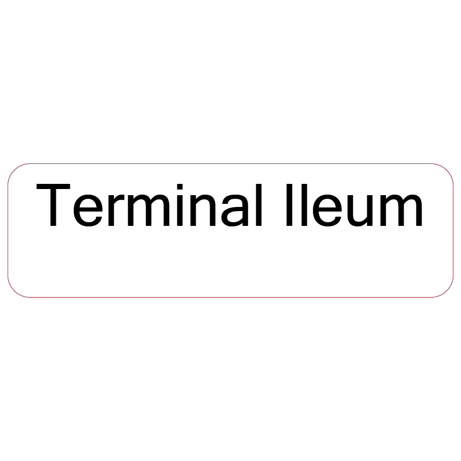 Terminal Ileum - 40 x 12, PAPER, Black print on White Label, 800 per roll