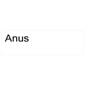 Anus- 40 x 12, PAPER, Black print on White Label. 800 per roll