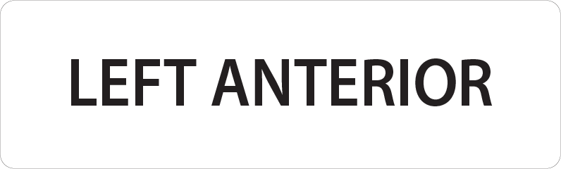 LEFT ANTERIOR - 40 x 12, PAPER, Black print on White Label, 800 per roll