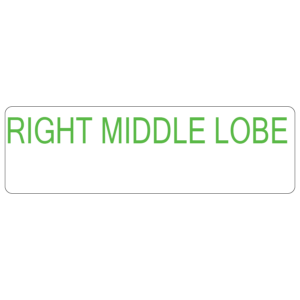 RIGHT MIDDLE LOBE - 40 x 12, PAPER,Green print (Waxed Resin) on White Label, 800 per roll